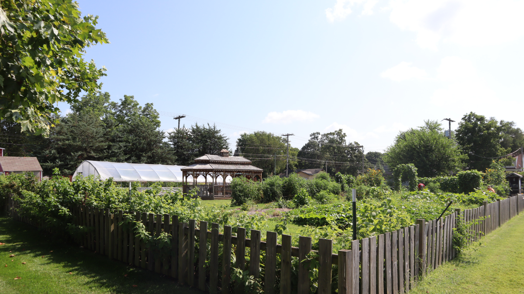 Midtown Community Garden Workday