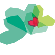 organization-logo