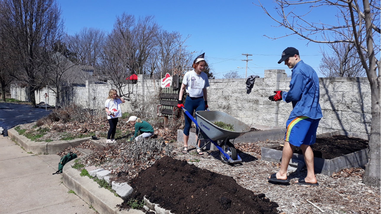 Harvest Greens and prepare for Gardenpalooza!