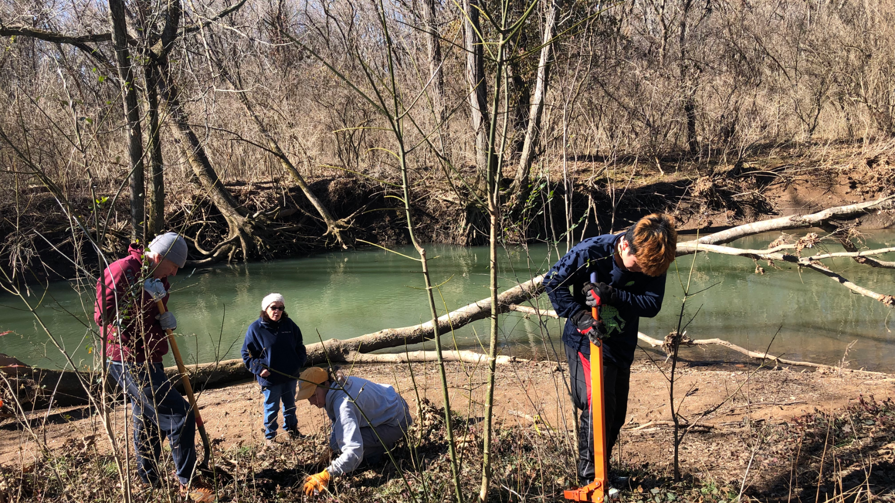 Invasive Plant Removal & Tree Planting