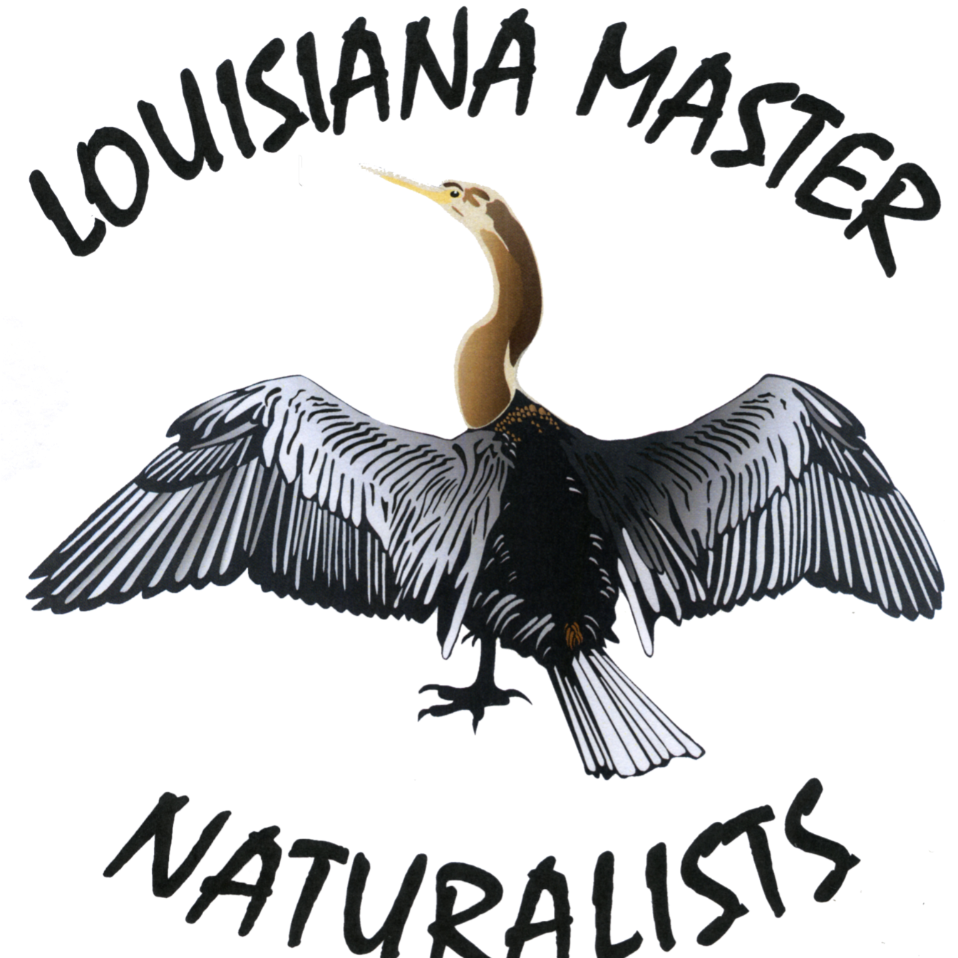 Organization logo