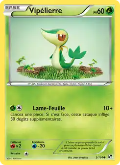 Vipélierre