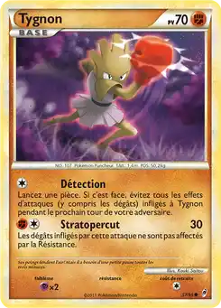 Tygnon