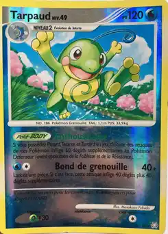Tarpaud