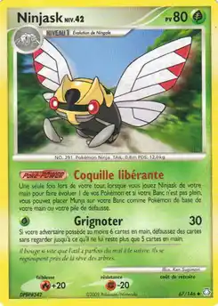 Ninjask