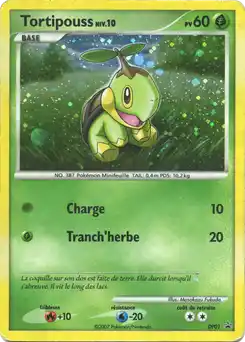 Tortipouss