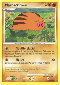 Marcacrin