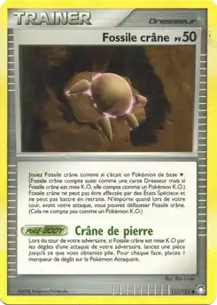 Fossile crâne