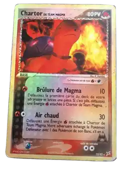 Chartor de Team Magma
