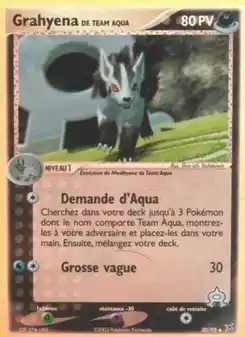 Grahyena de Team Aqua