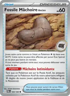 Fossile Mâchoire Ancien