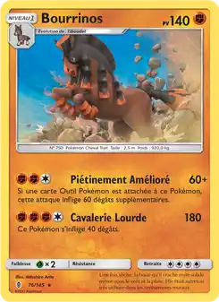 Bourrinos
