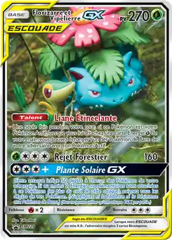 Florizarre et Vipélierre GX