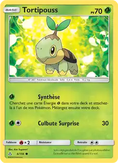 Tortipouss
