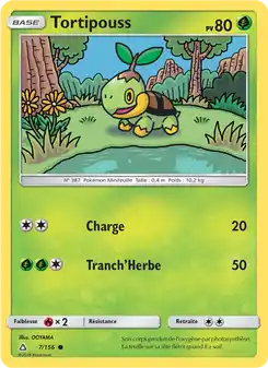 Tortipouss