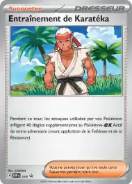 Entraînement de Karatéka
