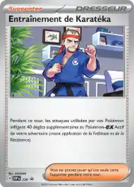 Entraînement de Karatéka