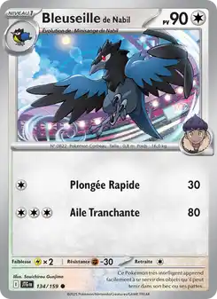 Bleuseille de Nabil