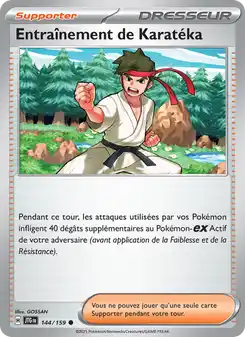 Entraînement de Karatéka