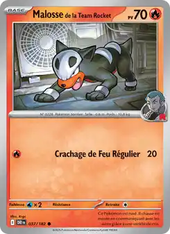 Malosse de la Team Rocket