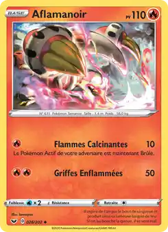 Aflamanoir