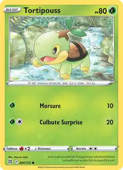 Tortipouss