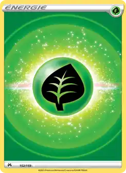 Énergie Plante
