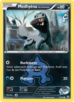 Medhyèna de la Team Aqua