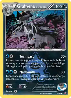 Grahyèna de la Team Aqua