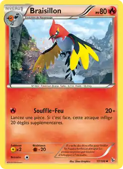 Braisillon