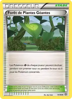Forêt de Plantes Géantes