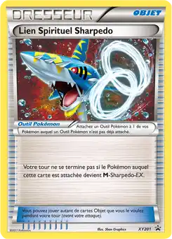 Lien Spirituel Sharpedo
