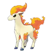 Ponyta