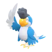 Tapatoès Blue Plumage