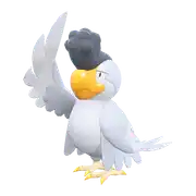 Tapatoès White Plumage