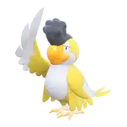 Tapatoès Yellow Plumage