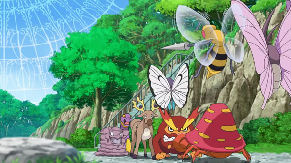 Capitulo 23 Anime Pokemon / Viajes