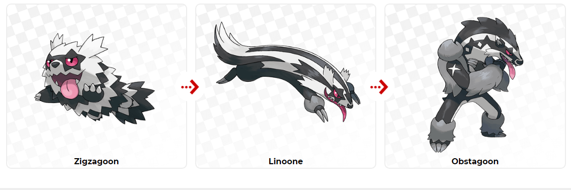 Linea evolutiva zigzagoon