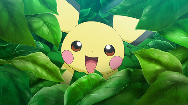 Pichu Anime Pokemon 2019