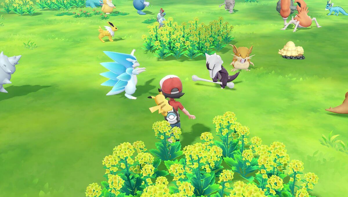 Pokemon GO Park