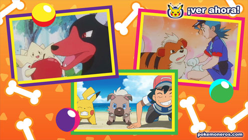 TV Pokémon Especial: Días perrunos