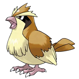 pidgey