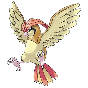 pidgeotto