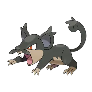 rattata de alola