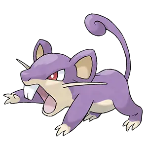 rattata