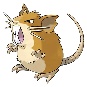 raticate común