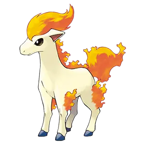 ponyta común