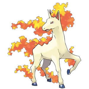 rapidash común