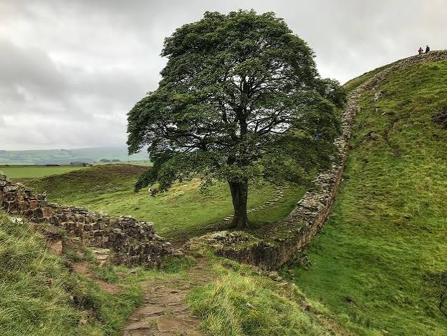 Hadrian’s Wall: a world wonder of c. 122 CE