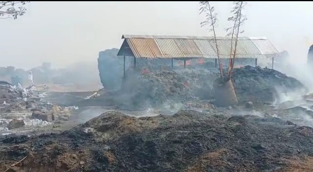 एकीकडे मुलीचं लग्नं लागतं व्हतं आणि वस्तिवर कडब्याच्यागंजीसह गोठा जळत होता दुर्दैवी घटना